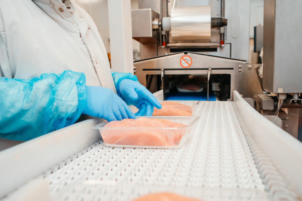 Packaging poultry meat factory